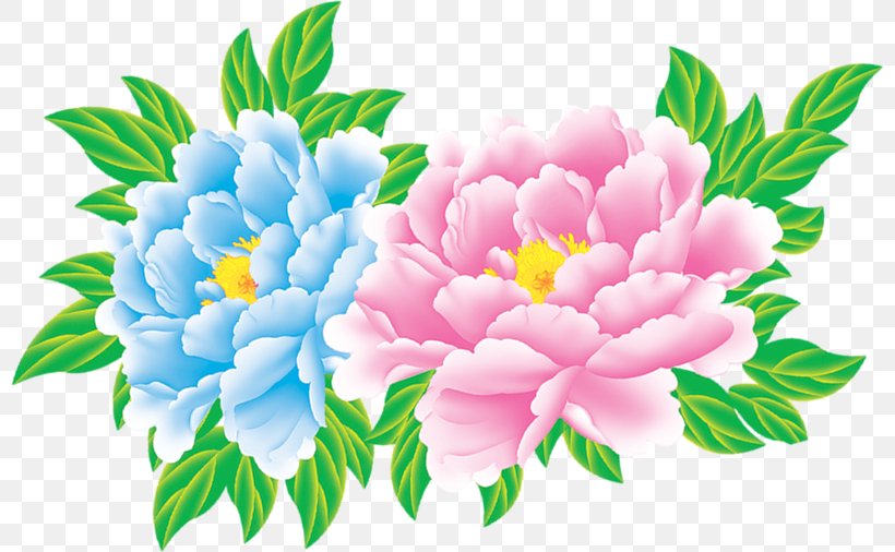 Flower Fundal Clip Art, PNG, 800x506px, Flower, Branch, Floral Design, Floristry, Flower Arranging Download Free