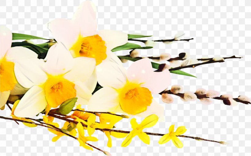 Flowers Background, PNG, 1274x794px, Daffodil, Branch, Cut Flowers, Dendrobium, Flower Download Free