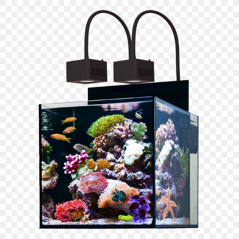 Reef Aquarium Protein Skimmer Sump Water, PNG, 1600x1600px, Reef Aquarium, Aquarium, Aquarium Filters, Aquatic Animal, Blennies Download Free