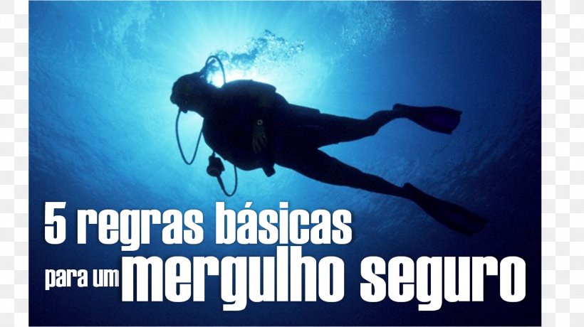 Scuba Diving Divemaster Advertising Water Scuba Set, PNG, 1468x824px, Scuba Diving, Advertising, Brand, Cargo, Divemaster Download Free
