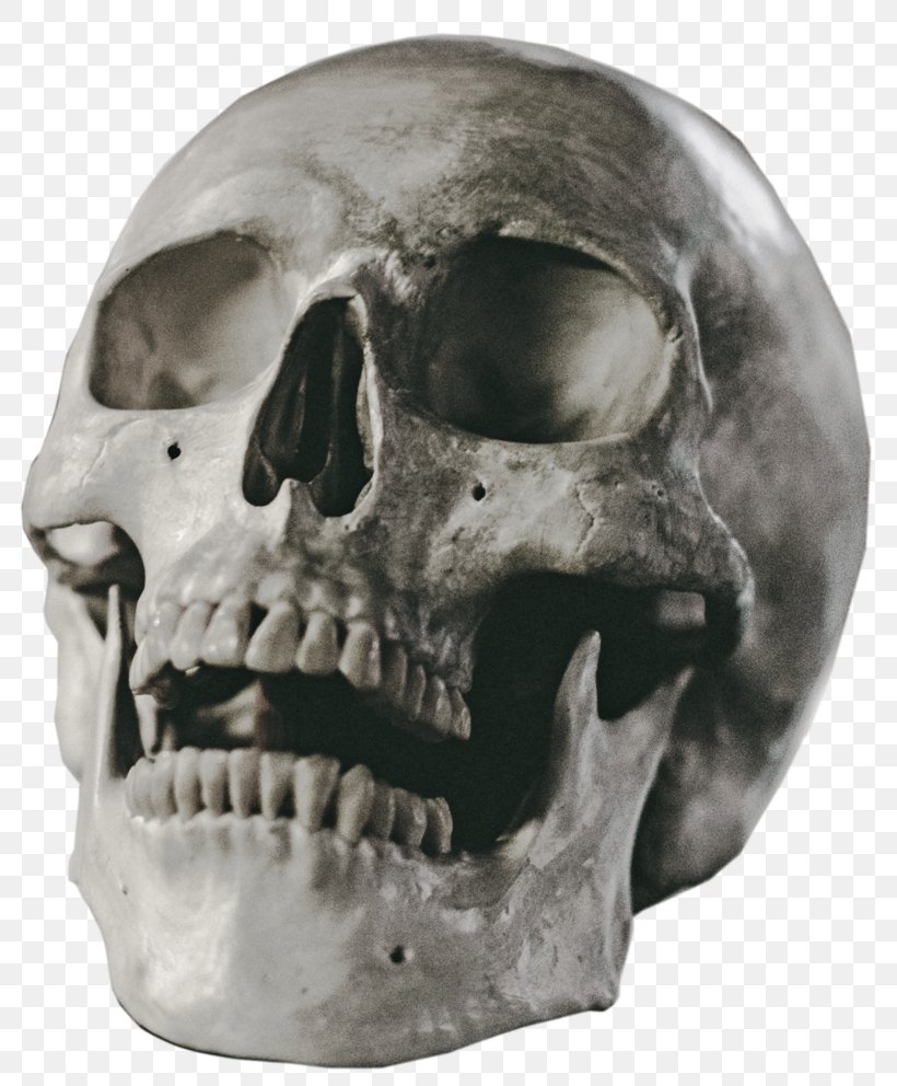 Skull Stock Art, PNG, 805x992px, Skull, Art, Bone, Deviantart, Head Download Free