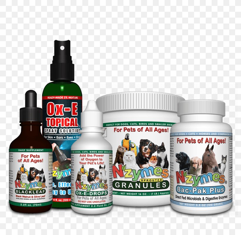 Allergy Allergies In Dogs Health Disease, PNG, 800x800px, Allergy, Allergies In Dogs, Cat Health, Dermatology, Disease Download Free
