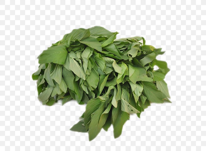 Basil Spinach Organic Food Vegetable, PNG, 600x600px, Basil, Broccoli, Food, Gourmet, Grocery Store Download Free
