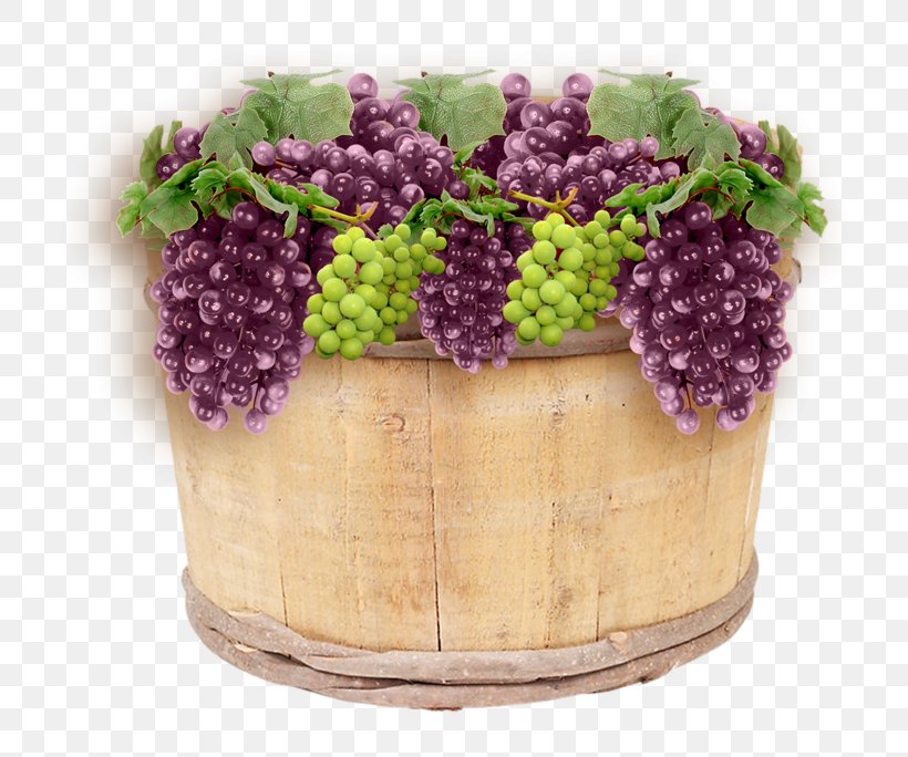 Common Grape Vine Harvest Quotation, PNG, 800x684px, Grape, Common Grape Vine, Flowerpot, Food, Fruit Download Free