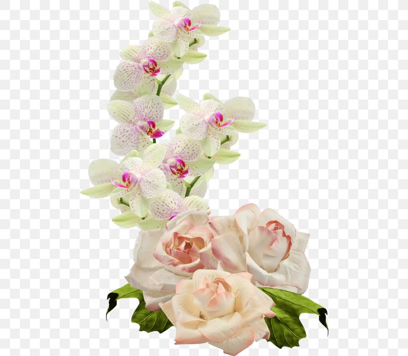 Cut Flowers Moth Orchids Clip Art, PNG, 500x715px, Cut Flowers, Artificial Flower, Blossom, Carnation, Floral Design Download Free