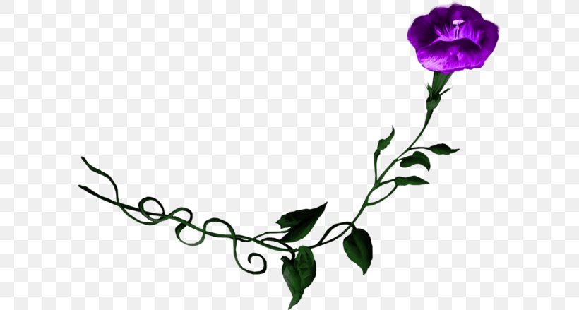 Floral Design Purple Flower Morning Glory Rose, PNG, 600x439px, Floral Design, Artwork, Branch, Bud, Color Download Free