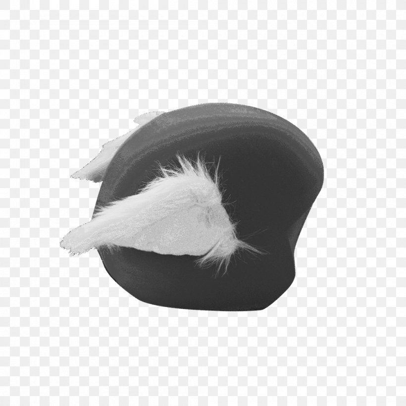 Headgear, PNG, 1000x1000px, Headgear, Feather, Fur Download Free