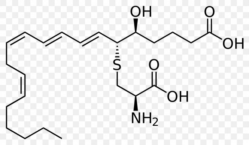 Leukotriene E4 Prostaglandin Eosinophil Eicosanoid, PNG, 1000x583px, Leukotriene, Area, Basophil, Black And White, Brand Download Free