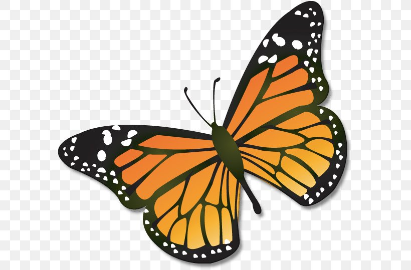 Monarch Butterfly Insect Clip Art, PNG, 587x539px, Watercolor, Cartoon, Flower, Frame, Heart Download Free