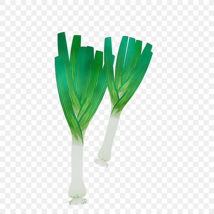 Plant Stem Plants, PNG, 2487x2487px, Plant Stem, Flower, Flowering Plant, Grass, Leaf Download Free