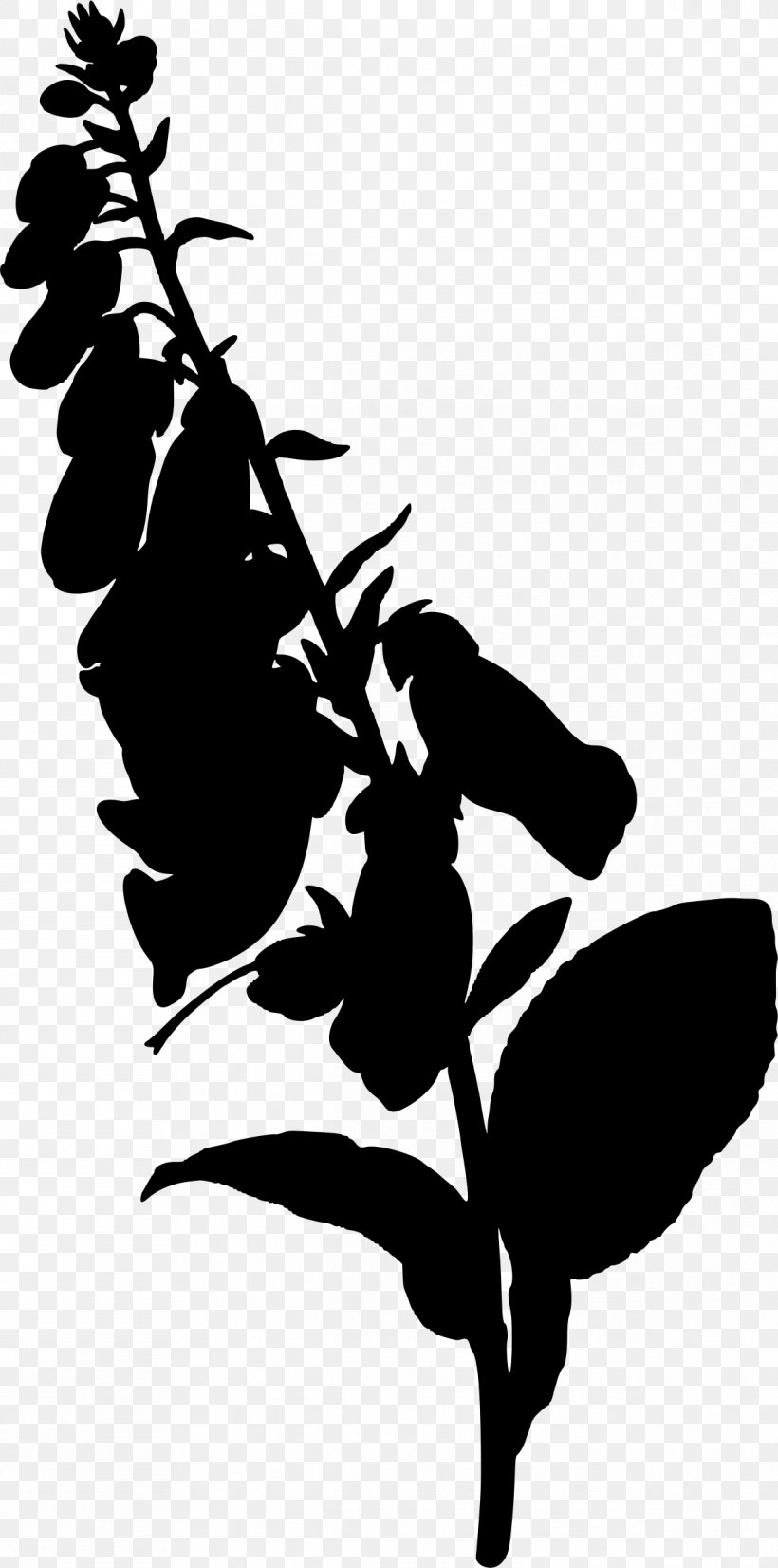 Foxgloves Silhouette, PNG, 1191x2400px, Foxgloves, Art, Black And White, Branch, Drawing Download Free