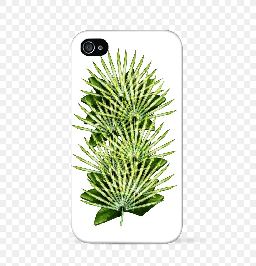 IPhone 6 IPhone 7 Poster Art Samsung Galaxy S5, PNG, 690x850px, Iphone 6, Art, Conifer, Grass, Iphone Download Free