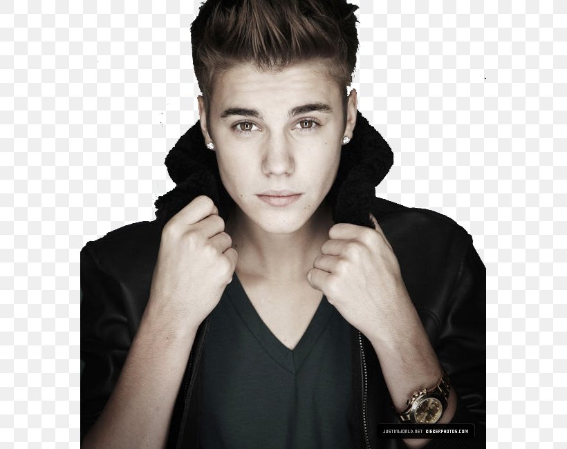 Justin Bieber Desktop Wallpaper Singer-songwriter, PNG, 587x650px, Watercolor, Cartoon, Flower, Frame, Heart Download Free