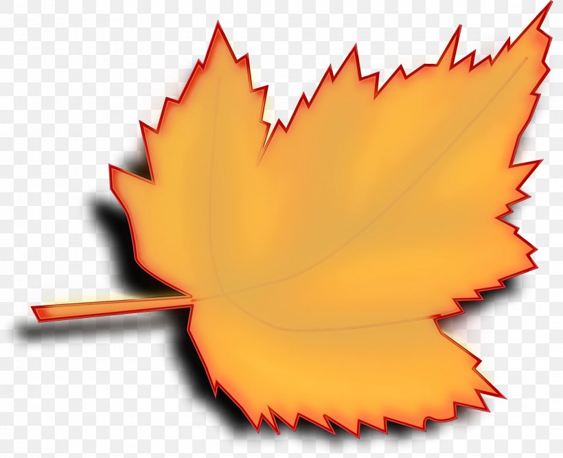 Maple Leaf, PNG, 2160x1757px, Watercolor, Leaf, Maple Leaf, Orange, Paint Download Free