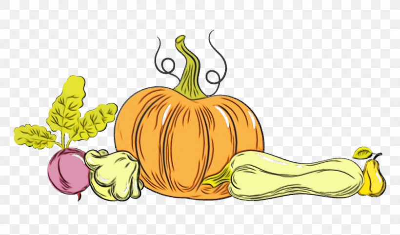 Squash Winter Squash Gourd Vegetable Cartoon, PNG, 1000x588px, Thanksgiving, Apple, Autumn, Cartoon, Gourd Download Free