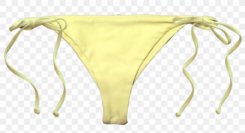 Briefs Southern California Underpants, PNG, 2048x1119px, Watercolor, Cartoon, Flower, Frame, Heart Download Free