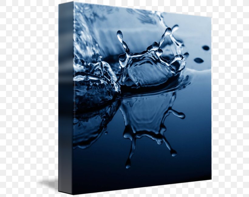 Graphic Design Stock Photography Poster Water Desktop Wallpaper, PNG, 589x650px, Stock Photography, Computer, Organism, Photography, Poster Download Free