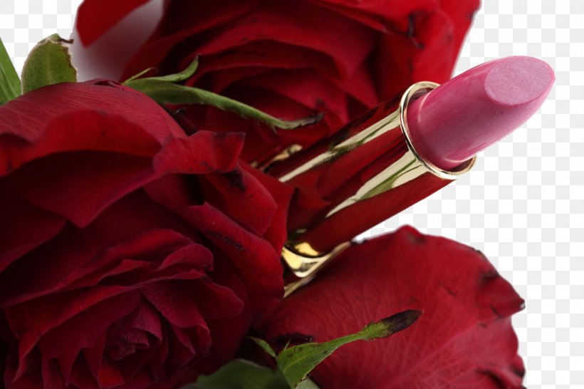 Lipstick Make-up, PNG, 1000x667px, Lipstick, Beauty, Cosmetics, Cosmetology, Cut Flowers Download Free