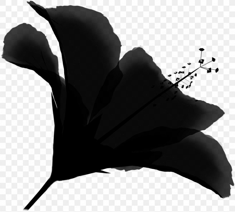 Silhouette Beak Black M, PNG, 1015x919px, Silhouette, Beak, Black, Black M, Blackandwhite Download Free