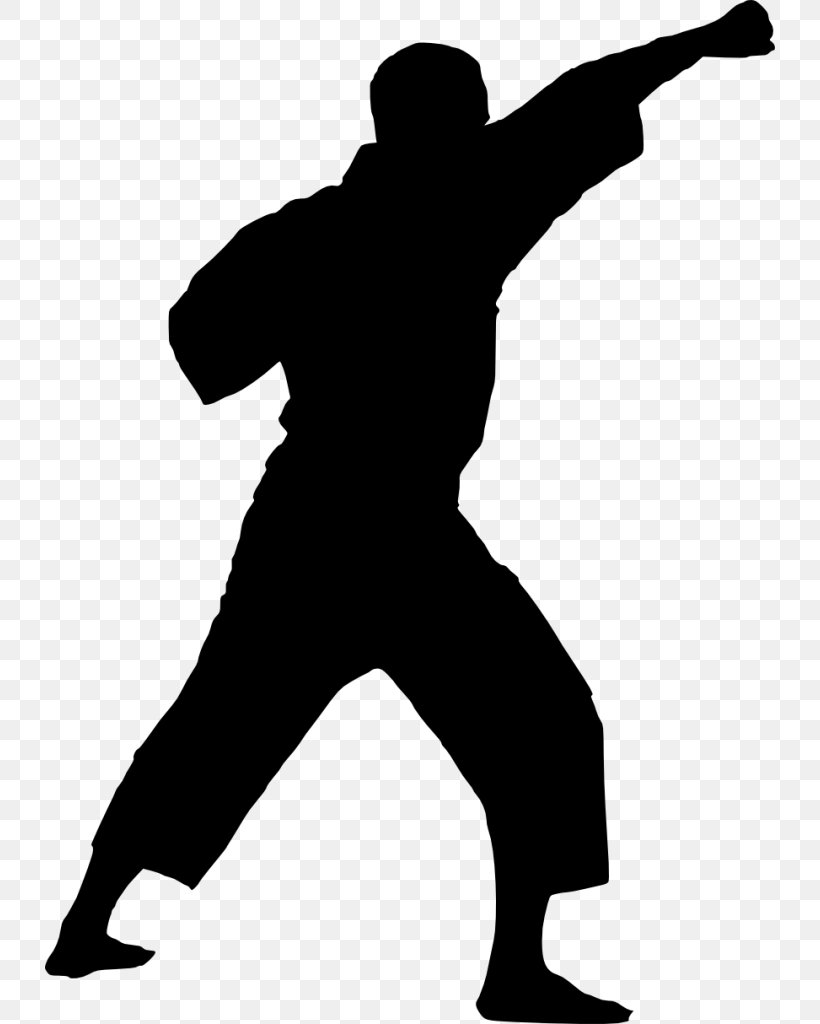 Silhouette Karate Martial Arts, PNG, 730x1024px, Silhouette, Arm, Black And White, Hand, Human Behavior Download Free