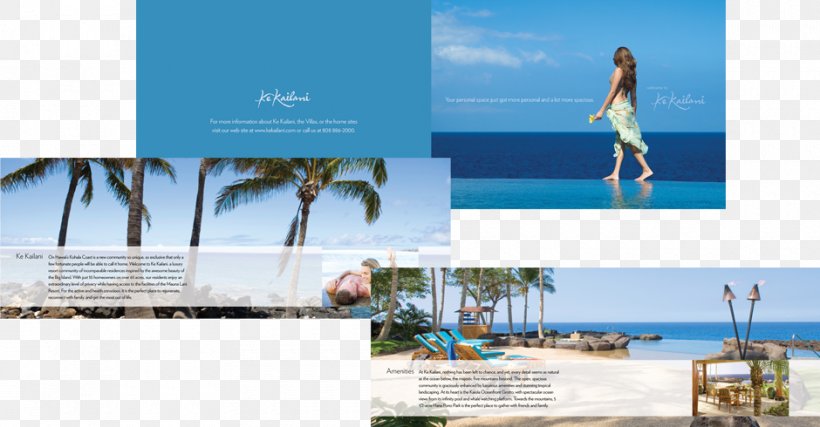 Team Vision Marketing Agency Advertising Agency Brand, PNG, 940x490px, Advertising, Advertising Agency, Brand, Brochure, Hawaii Download Free