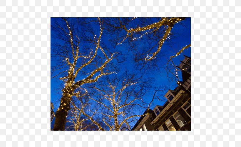 Upington Majorelle Blue Sky Azure, PNG, 500x500px, Upington, Azure, Blue, Branch, Christmas Lights Download Free