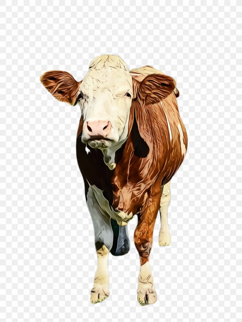 Bovine Bull Dairy Cow Livestock Animal Figure, PNG, 1732x2308px, Watercolor, Animal Figure, Bovine, Bull, Cowgoat Family Download Free
