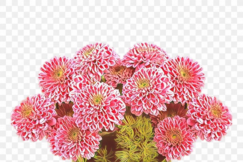 Floral Design, PNG, 1280x853px, Cartoon, Aster, Bouquet, Cut Flowers, Floral Design Download Free