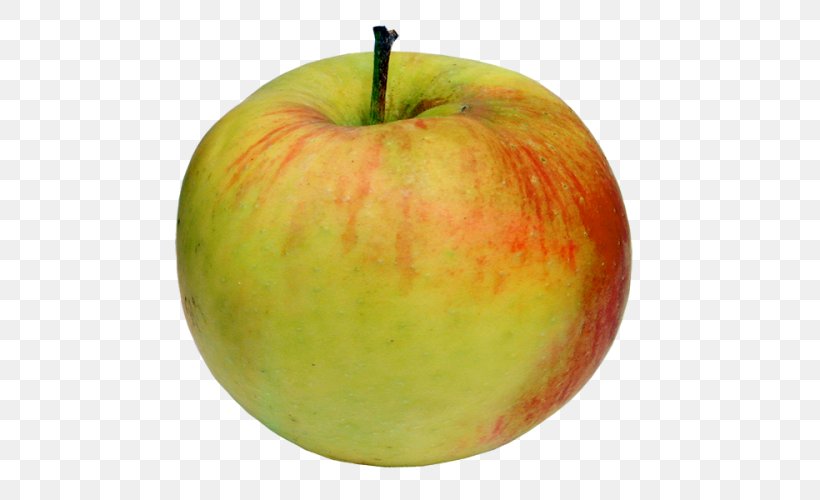 Fruit Vegetable Apple Clip Art, PNG, 500x500px, Fruit, Apple, Food, Granny Smith, Liveinternet Download Free