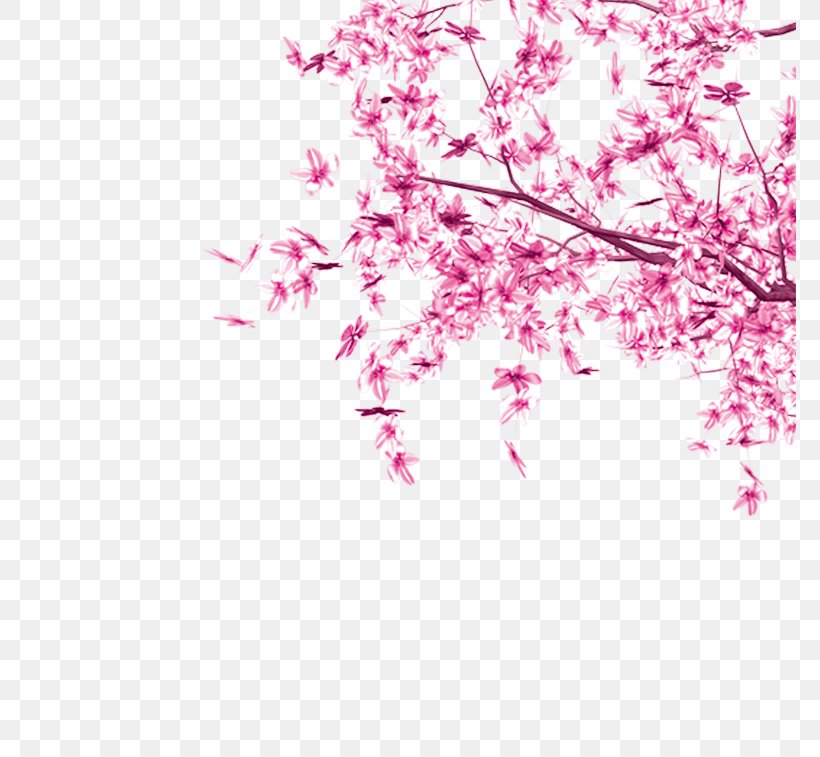 Cherry Blossom Pink Tree Leaf, PNG, 773x757px, Cherry Blossom, Blossom, Branch, Color, Designer Download Free