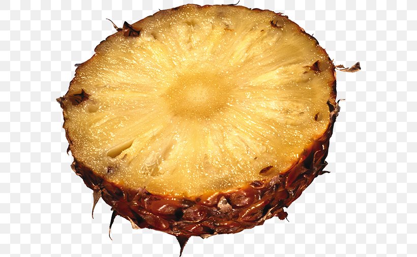 Pineapple Bromeliads Fruit Treacle Tart, PNG, 600x506px, Pineapple, Ananas, Bromeliads, Family, Food Download Free