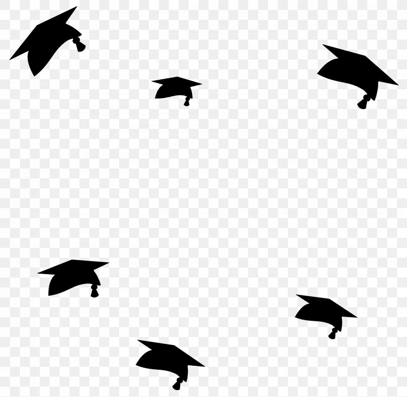 Graduation Ceremony Diploma College Clip Art, PNG, 2882x2816px, Graduation Ceremony, Animal Migration, Banner, Beak, Bird Download Free