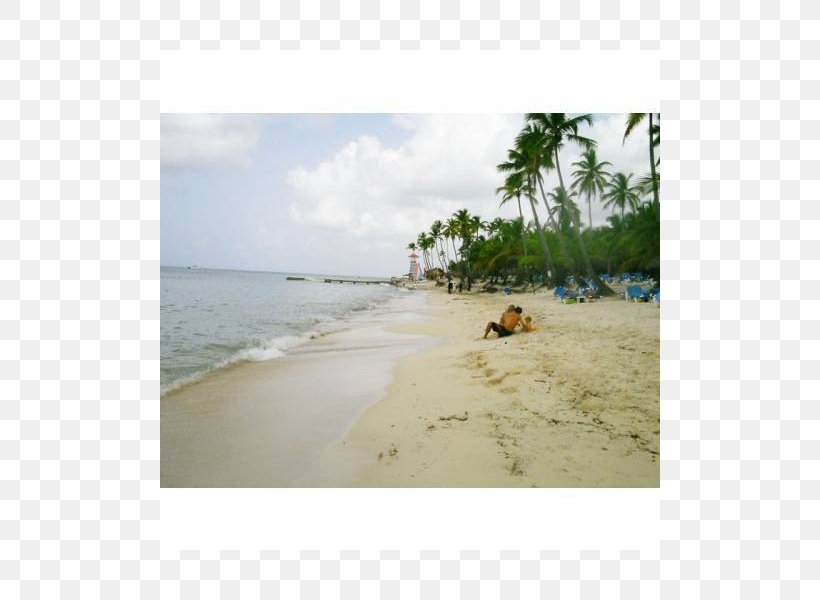 Beach Caribbean Sea Coast Ocean, PNG, 800x600px, Beach, Area, Bay, Body Of Water, Caribbean Download Free