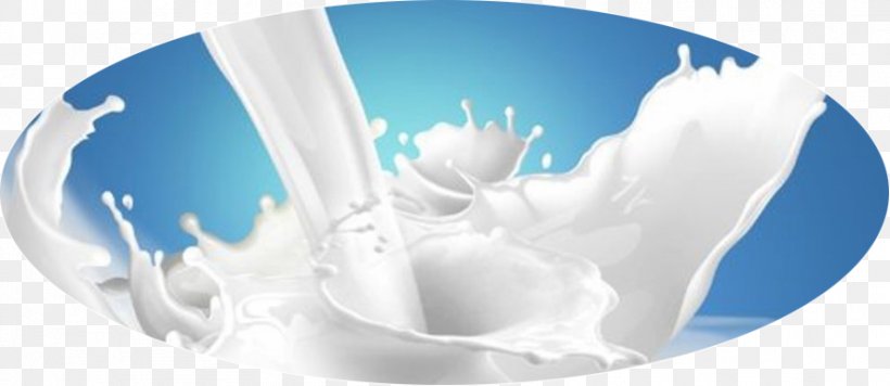Cow's Milk Tres Leches Cake Food Cream, PNG, 886x385px, Milk, Blue, Cake, Cream, Dairy Products Download Free