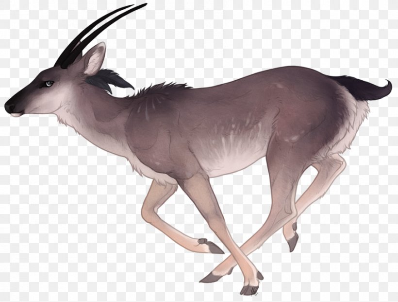 Deer Vector Graphics Gemsbok Watercolor Painting, PNG, 900x682px, Deer, Animal Figure, Antelope, Antler, Art Download Free