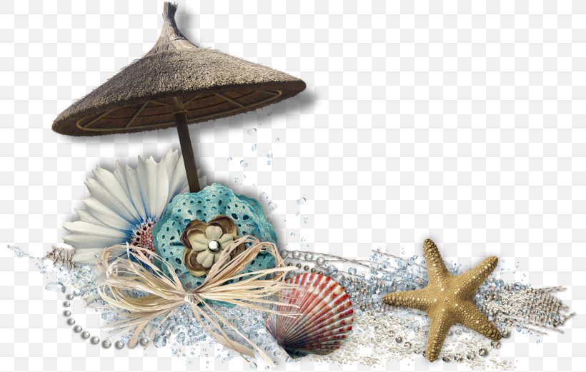 Photography Clip Art, PNG, 799x521px, Photography, Christmas Ornament, Echinoderm, Gimp, Invertebrate Download Free