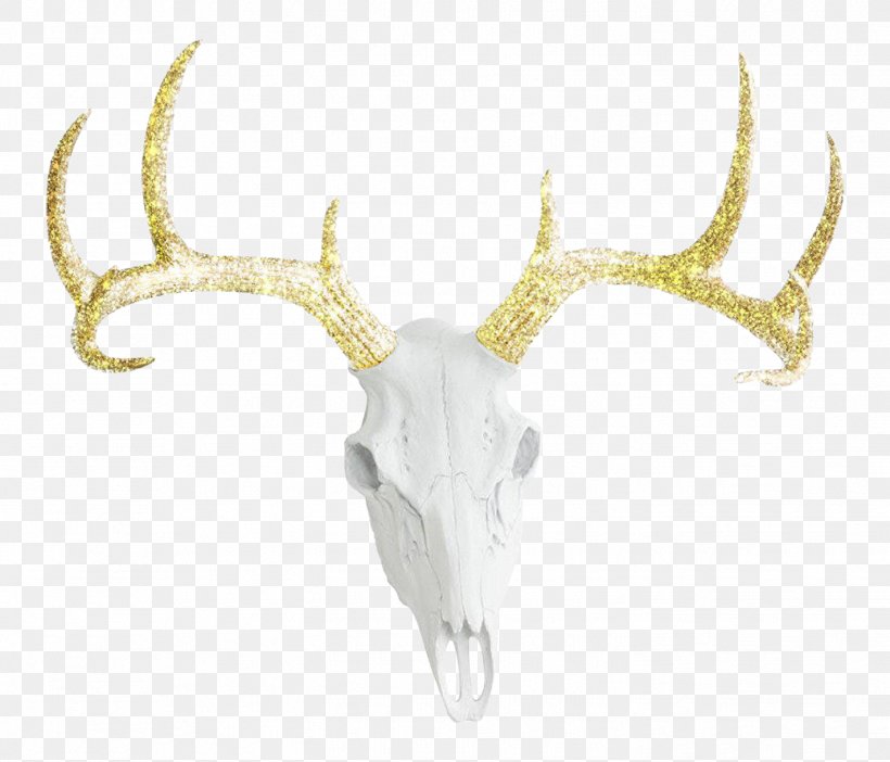 White-tailed Deer Antler Bison Color, PNG, 1423x1219px, Deer, Antler, Bison, Blacktailed Deer, Bone Download Free