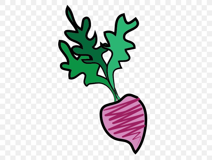 Clip Art Turnip Image Lettuce, PNG, 511x617px, Turnip, Artwork, Branch, Flora, Flower Download Free