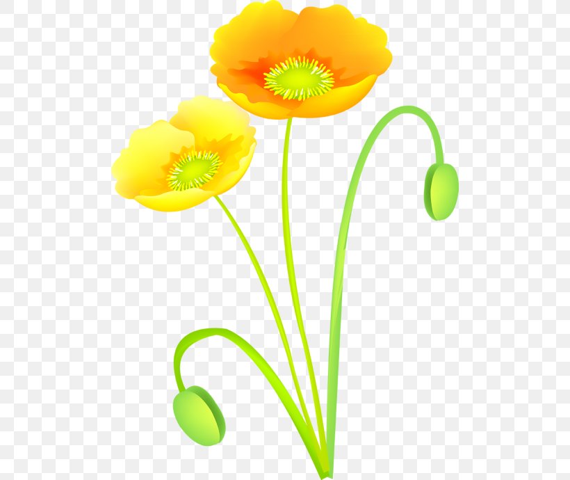 Cut Flowers, PNG, 500x690px, Flower, Blog, Cut Flowers, Flowering Plant, Petal Download Free