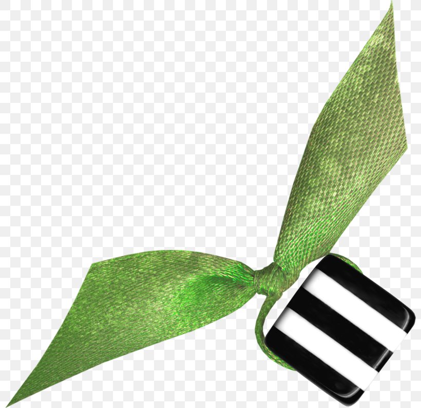 Leaf, PNG, 800x793px, Leaf, Grass, Plant Download Free