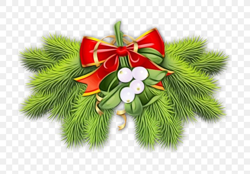 Christmas Decoration, PNG, 800x571px, Watercolor, Branch, Christmas, Christmas Decoration, Leaf Download Free