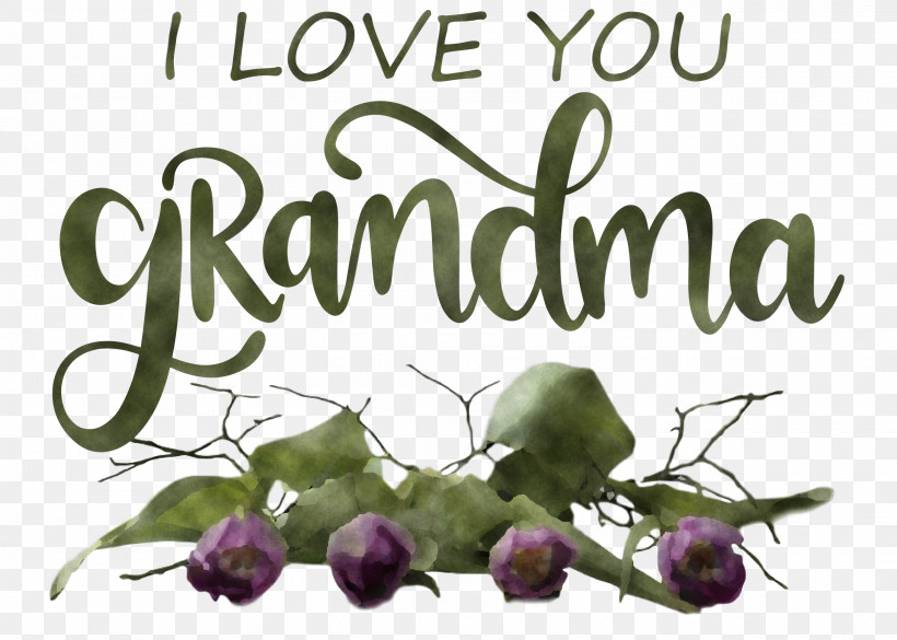 Grandmothers Day Grandma, PNG, 3000x2141px, Grandmothers Day, Branching, Floral Design, Flower, Fruit Download Free