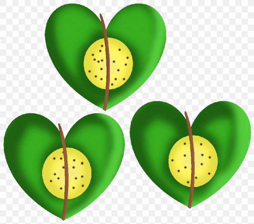 Leaf Organism Fruit Heart, PNG, 856x756px, Leaf, Fruit, Grass, Green, Heart Download Free