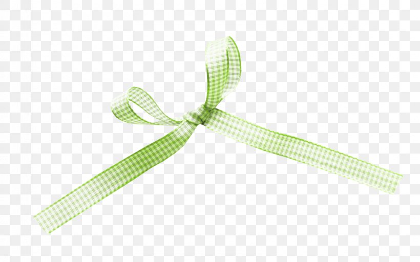 Product Design Ribbon, PNG, 1600x1000px, Ribbon, Grass Download Free
