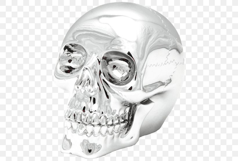 Skull Resin Casting Jaw Price, PNG, 555x555px, Skull, Body Jewelry, Bone, Death, Electroplating Download Free