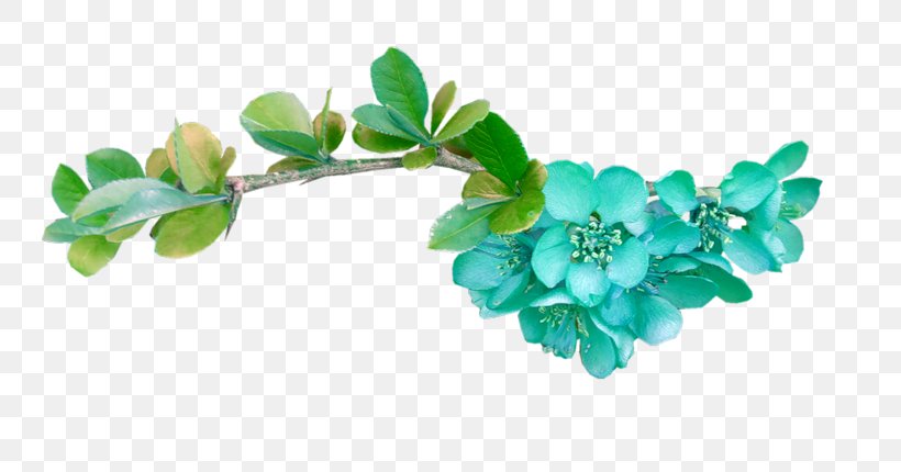Turquoise Blue Red Color, PNG, 800x430px, Turquoise, Blue, Branch, Color, Flower Download Free