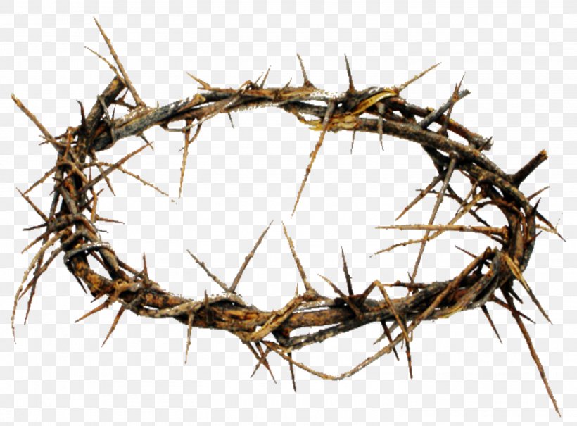 Crown Of Thorns Thorns, Spines, And Prickles Christianity Crucifixion Of Jesus, PNG, 2942x2171px, Crown Of Thorns, Branch, Christian Cross, Christianity, Crown Download Free