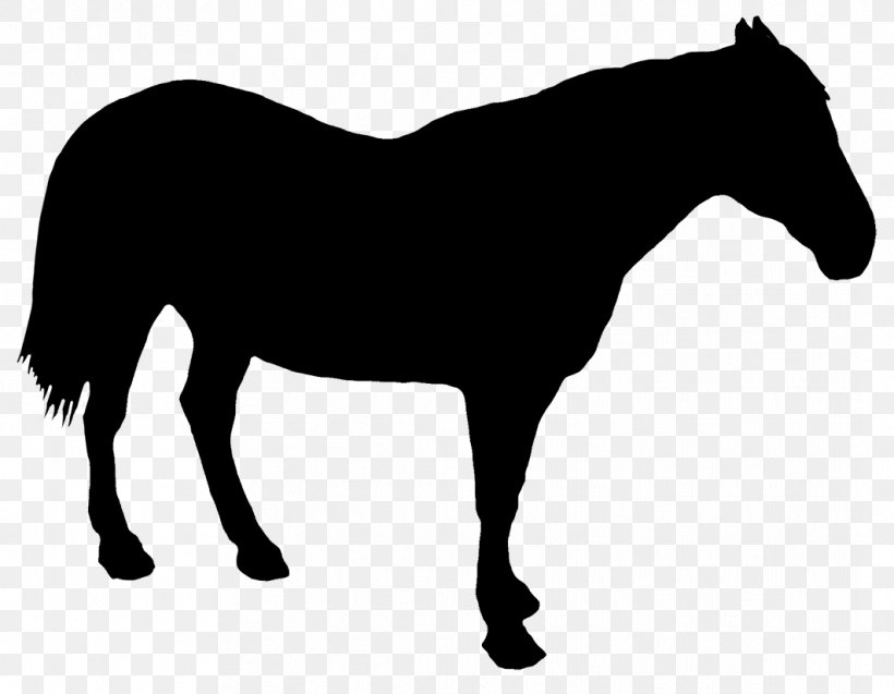 Draft Horse Drawing Silhouette, PNG, 1063x827px, Horse, Black, Black And White, Bridle, Colt Download Free