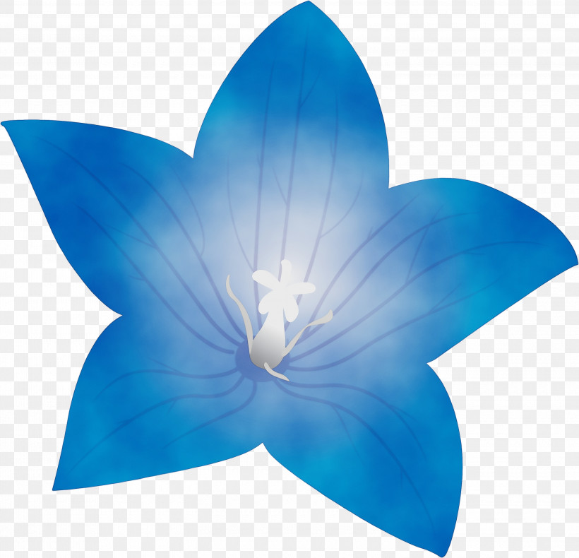 Electric Blue M Turquoise M Cobalt Blue Petal Flower, PNG, 3000x2892px, Balloon Flower, Blue, Cobalt, Cobalt Blue, Electric Blue M Download Free