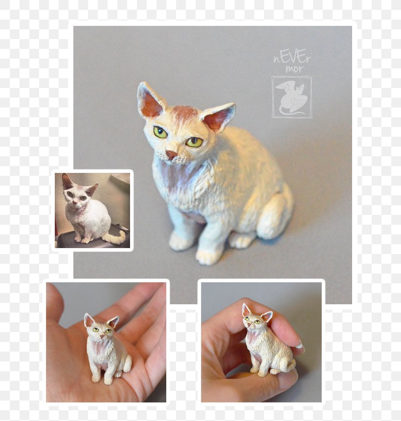 Kitten Whiskers Tail Animal, PNG, 714x862px, Kitten, Animal, Carnivoran, Cat, Cat Like Mammal Download Free